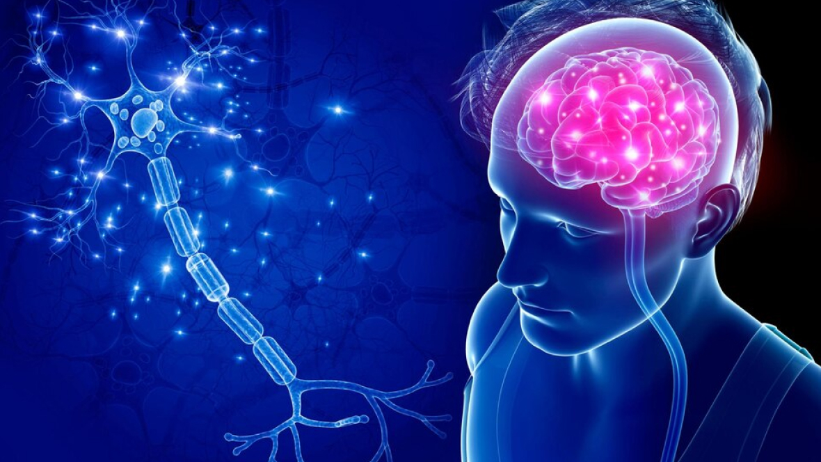 best ayurvedic treatment for motor neurone in kerala